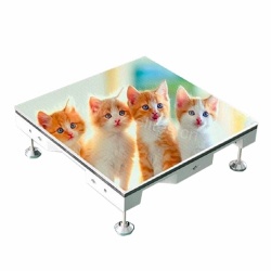 P3.91/ P4.81 500X500MM LED 户外地板显示屏